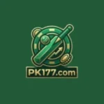 PK 177 VIP Earning App Latest Version Download - 2026