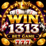 Win1313 Bet APK Best Gaming App Pakistan - Latest Version 2026