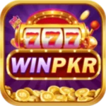 WINPKR Game Download – Latest Android Version 2026